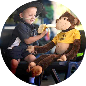 Monkey In My Chair